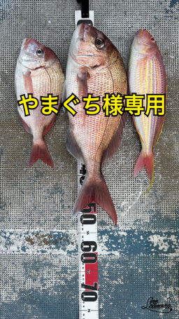 FishSale - 釣った魚を売れるオークションサイト -