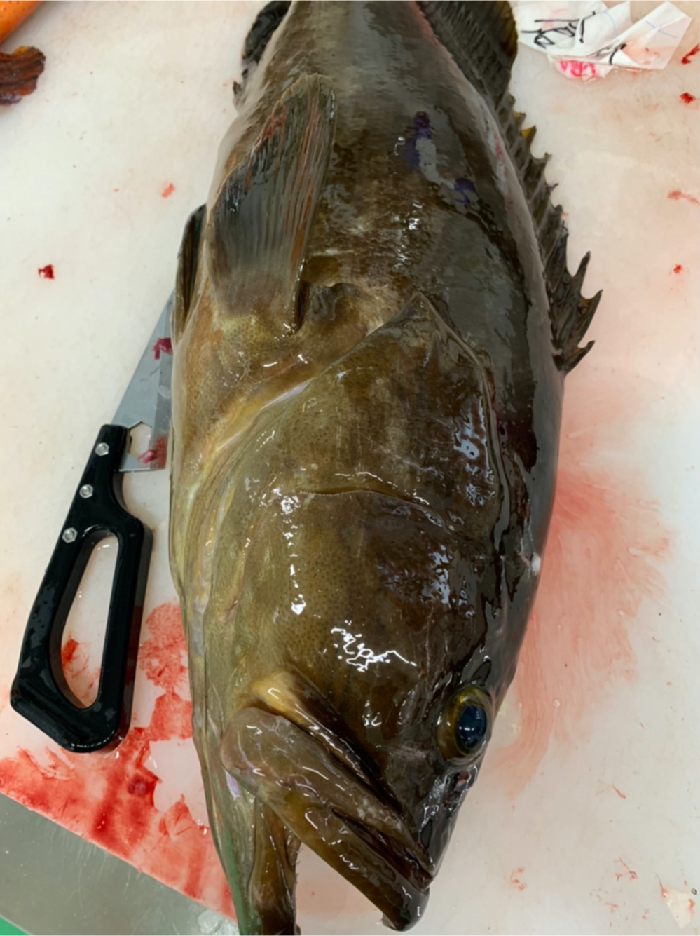 Fish Sale