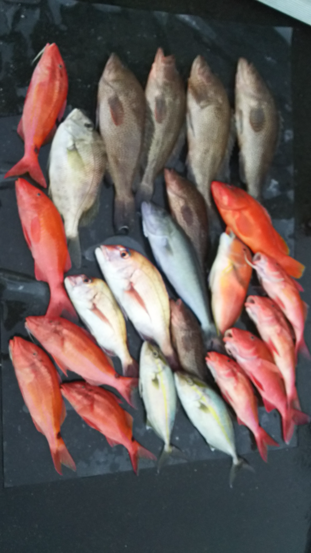 Fish Sale
