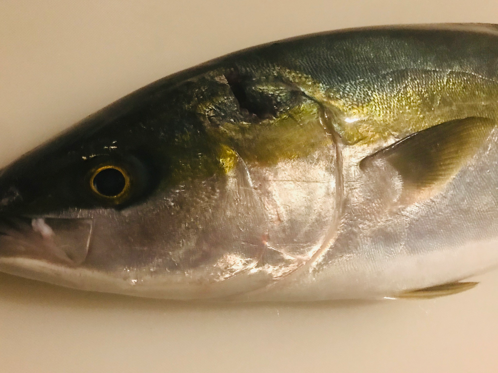 Fish Sale Fish Sale