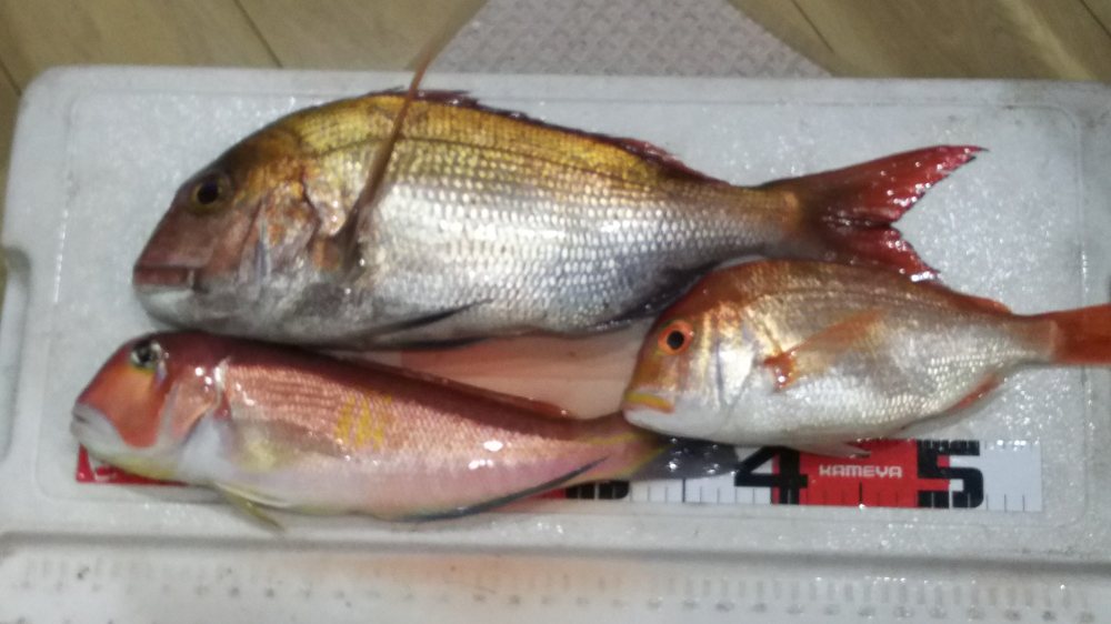 Fish Sale Fish Sale
