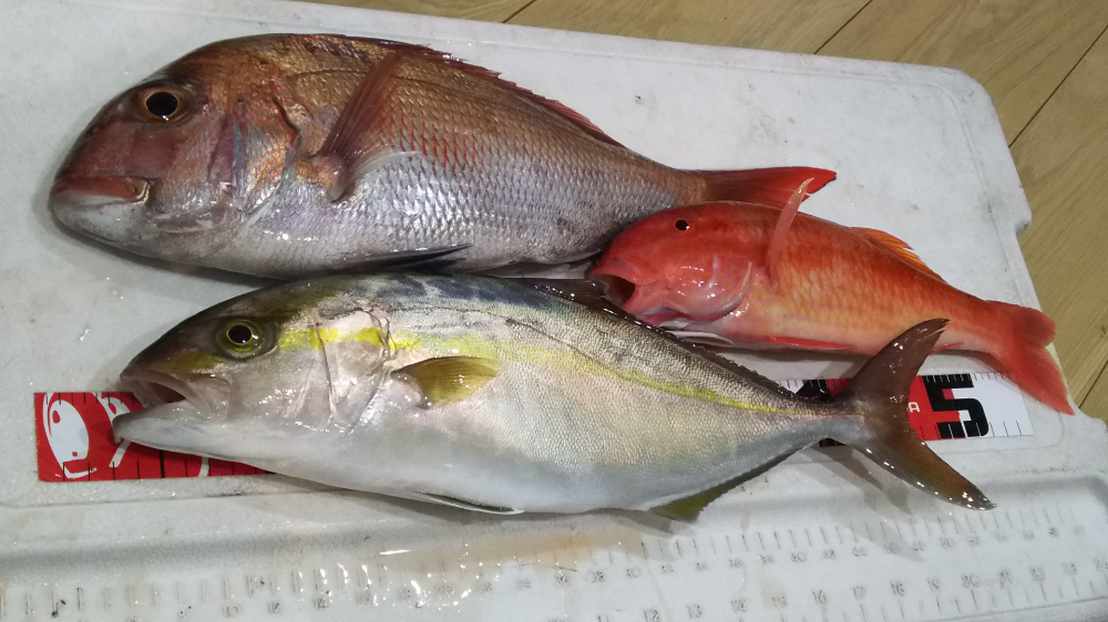Fish Sale Fish Sale