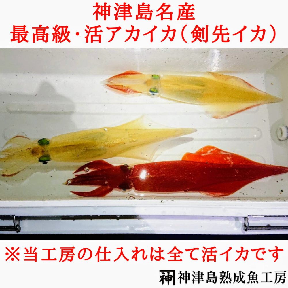 Fish Sale Fish Sale