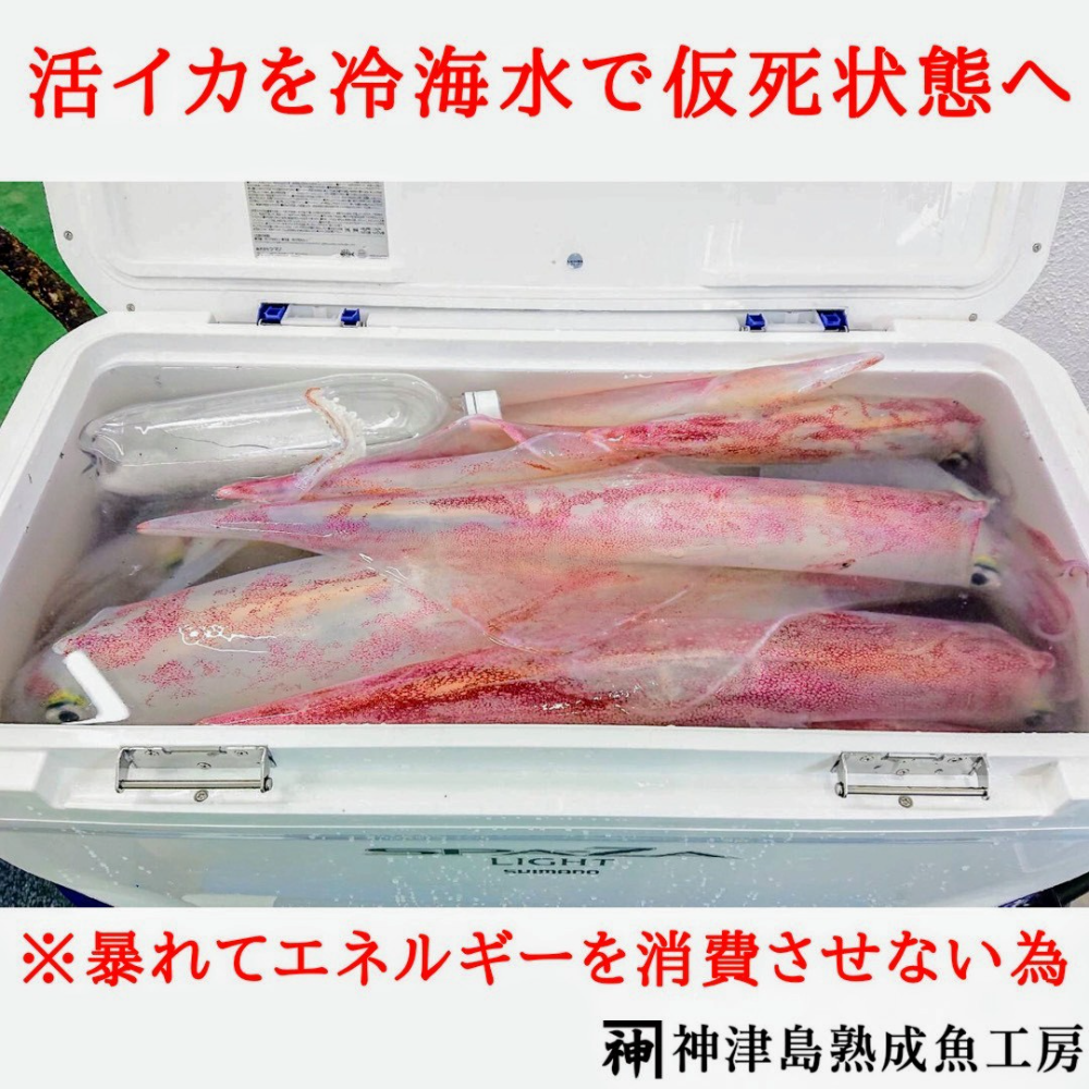 Fish Sale