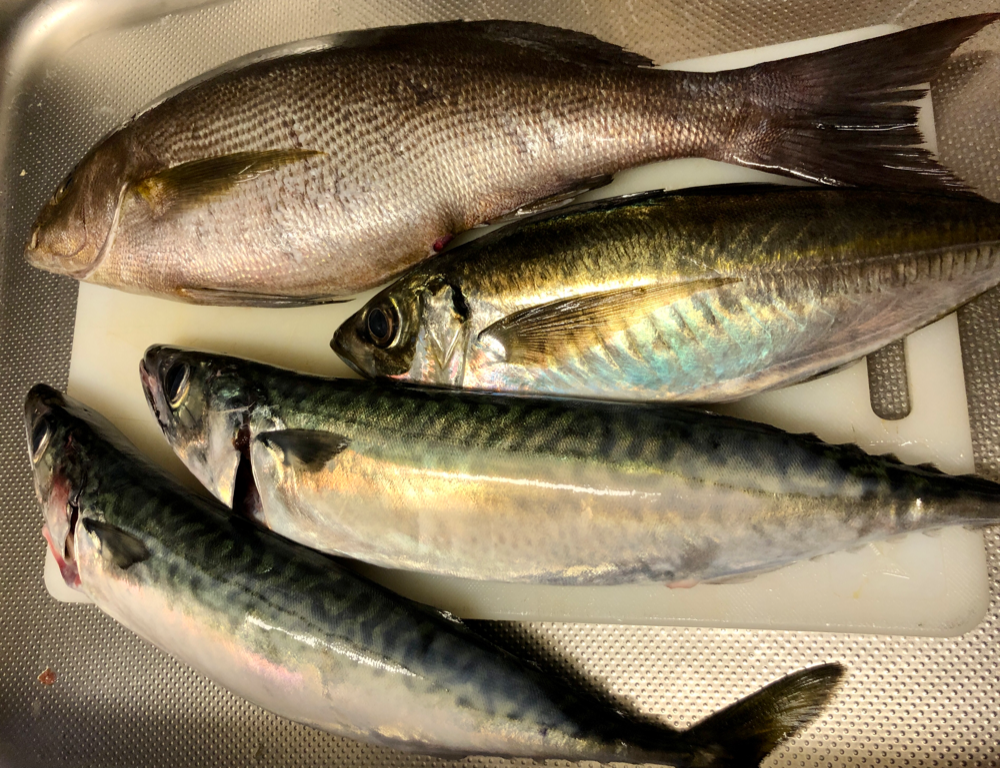 Fish Sale Fish Sale