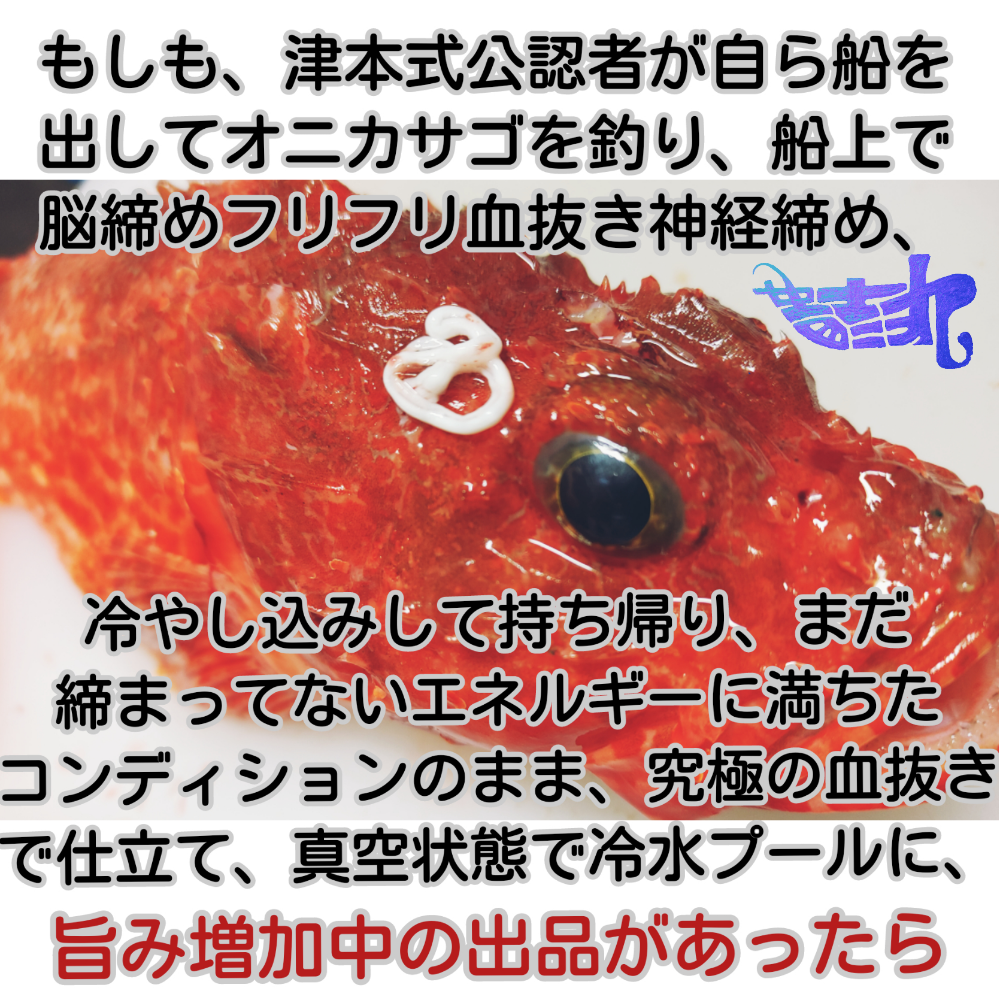 FishSale - 釣った魚を売れるオークションサイト -