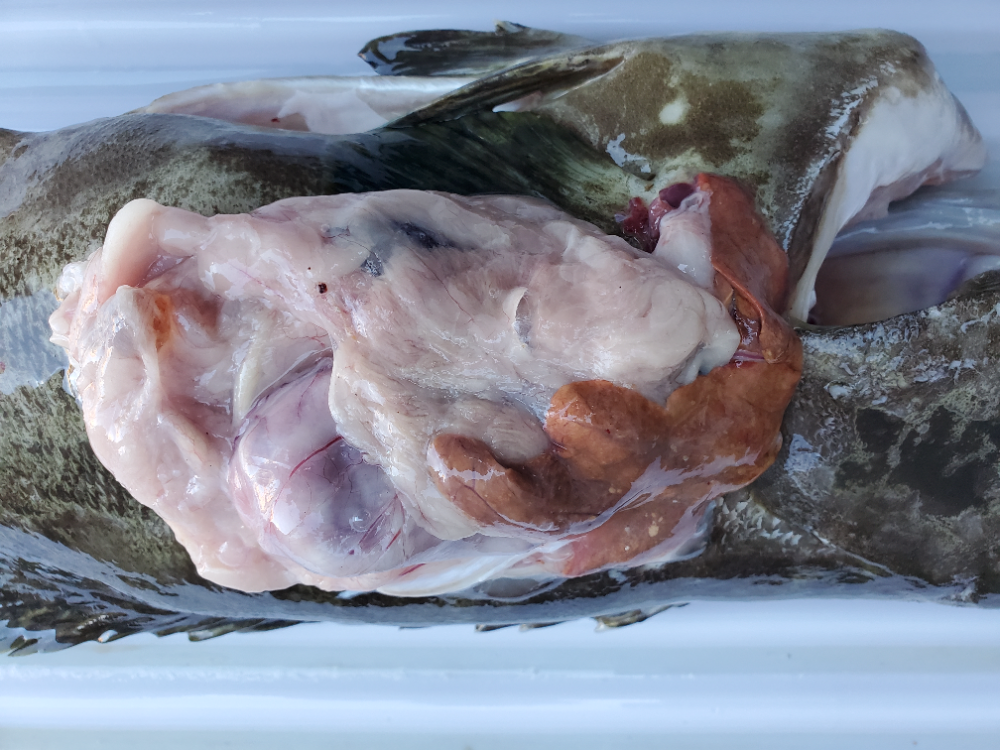 Fish Sale