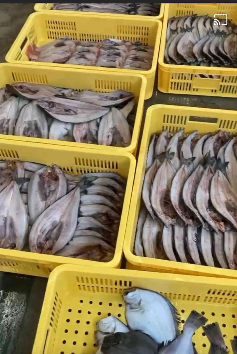 Fish Sale