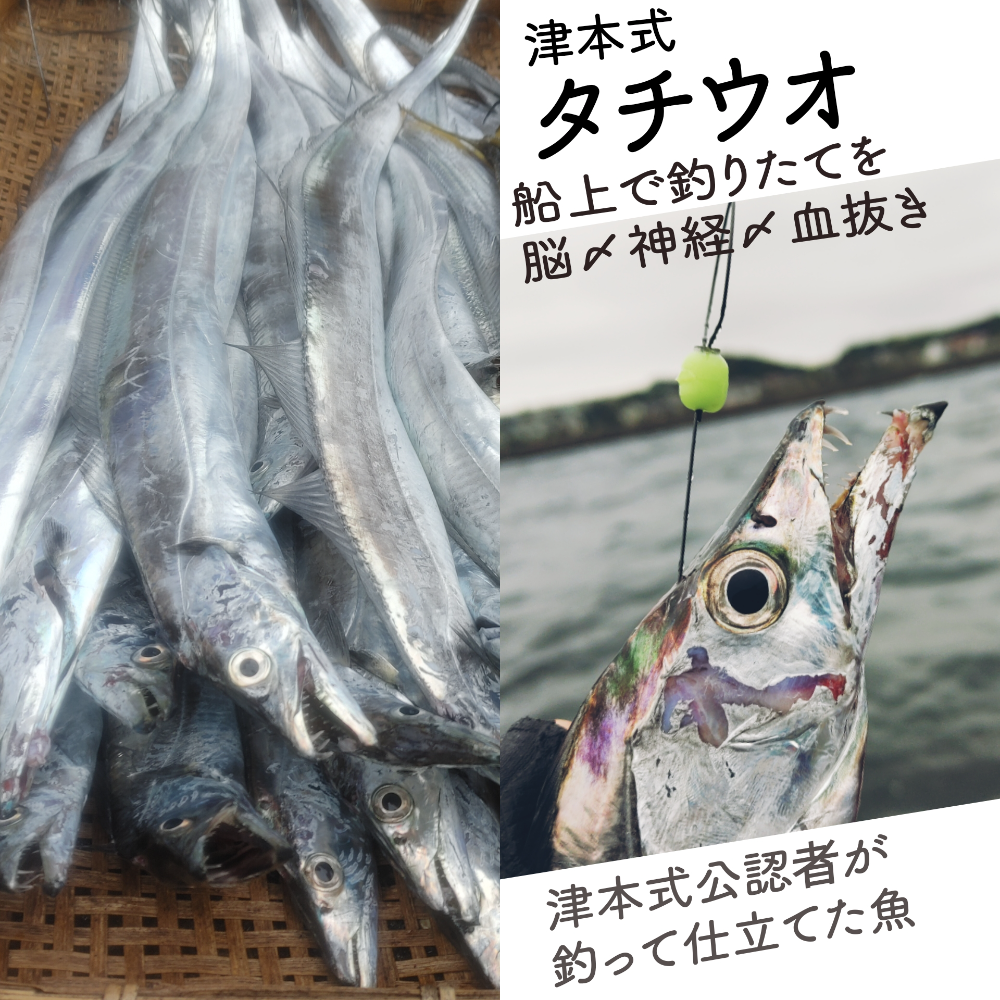 Fish Sale