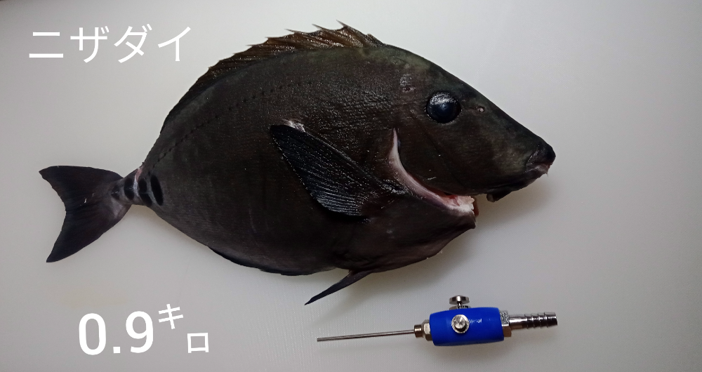 Fish Sale