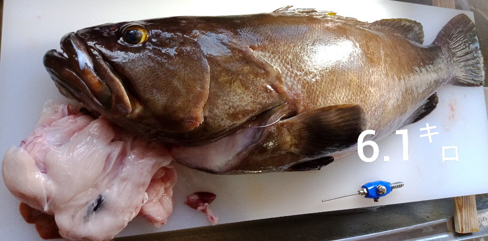 Fish Sale
