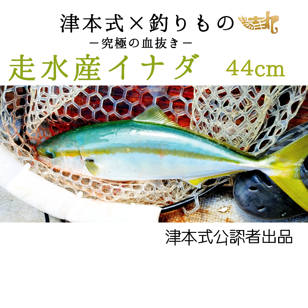 Fish Sale