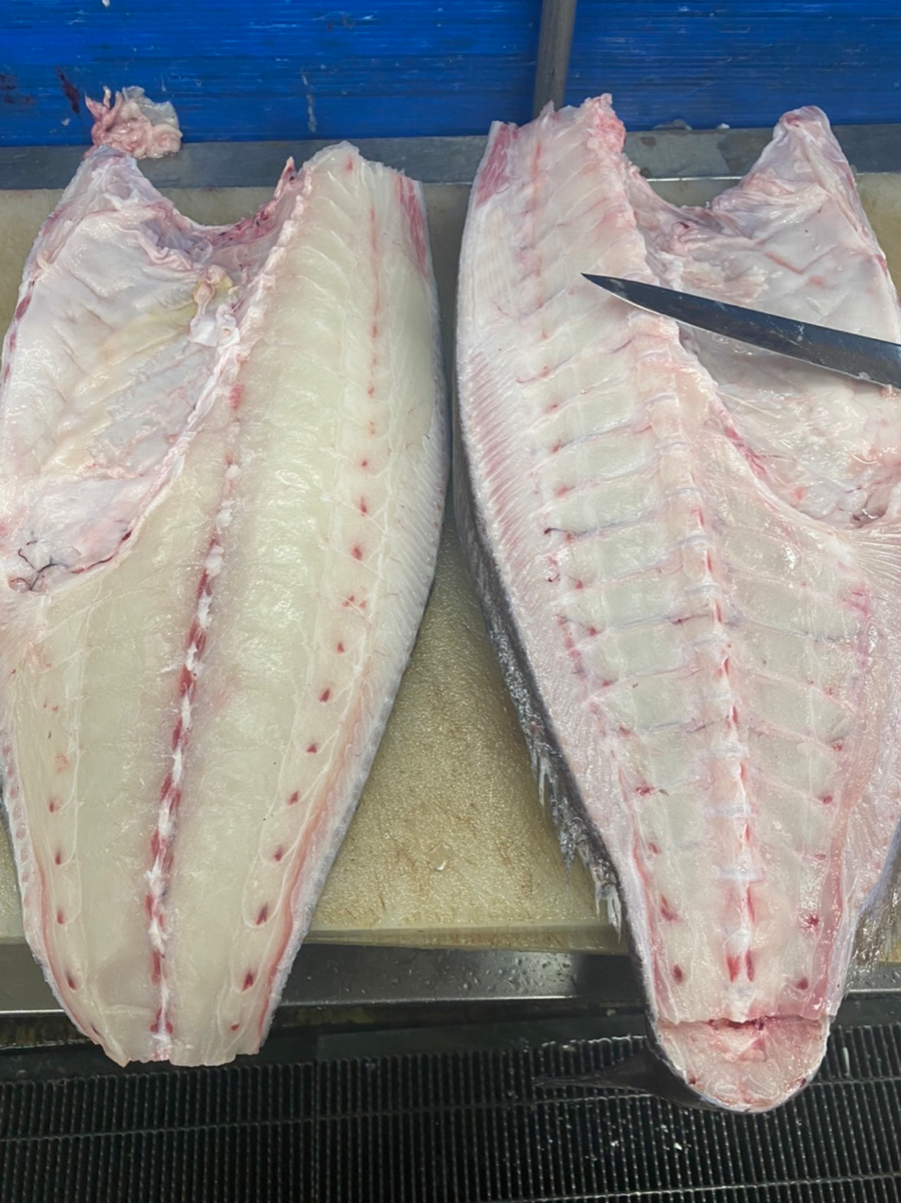 Fish Sale