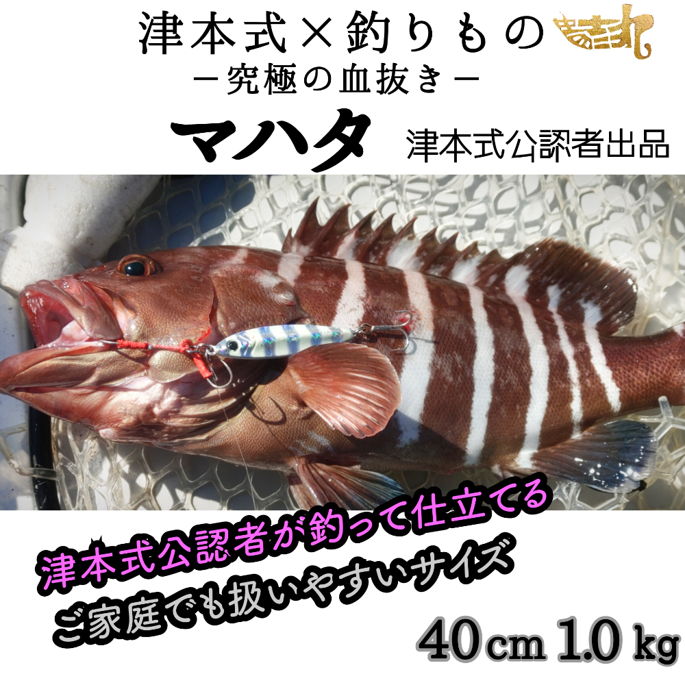 Fish Sale