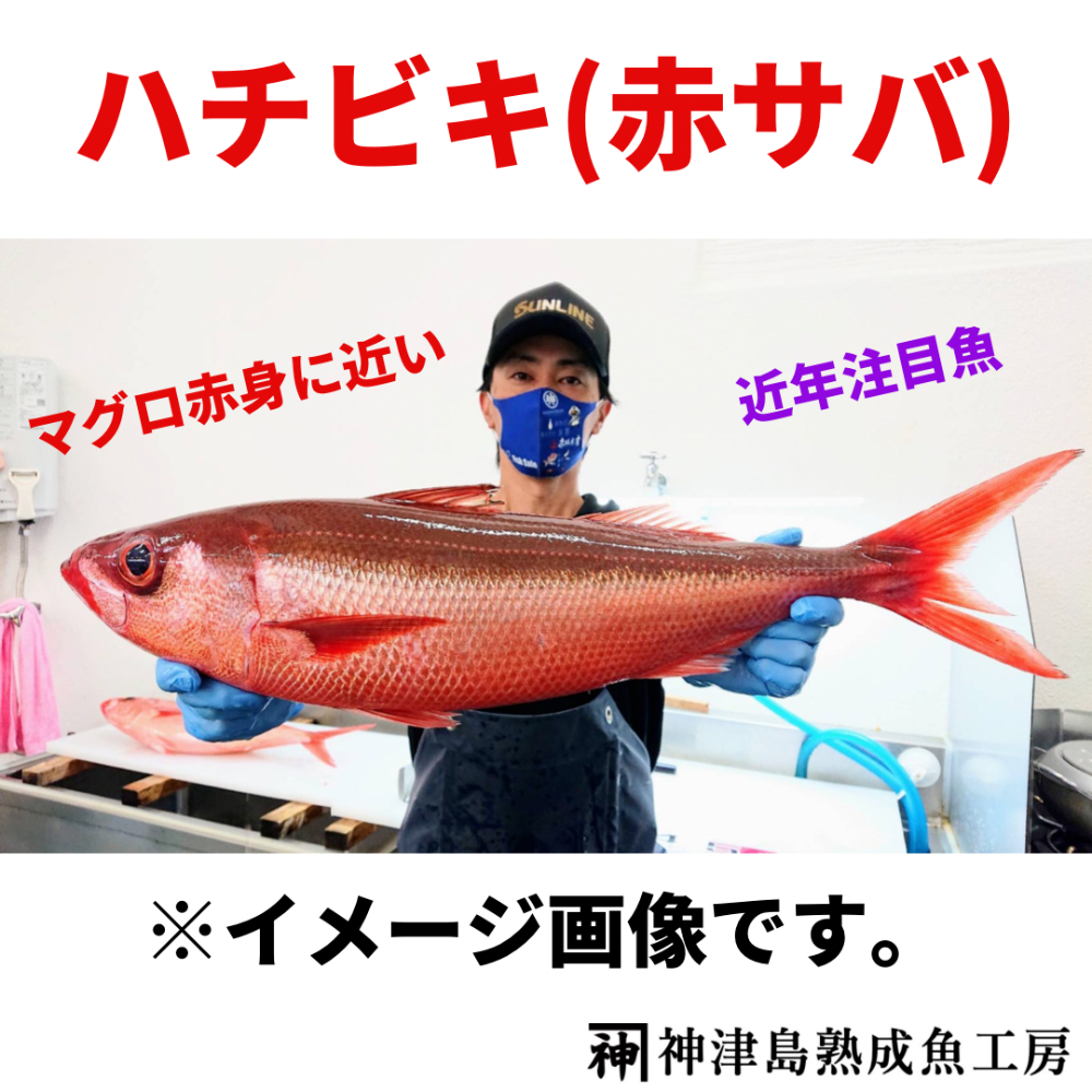 Fish Sale