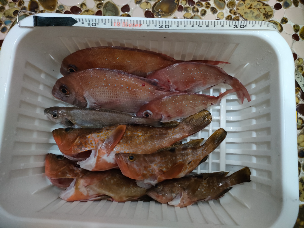 Fish Sale