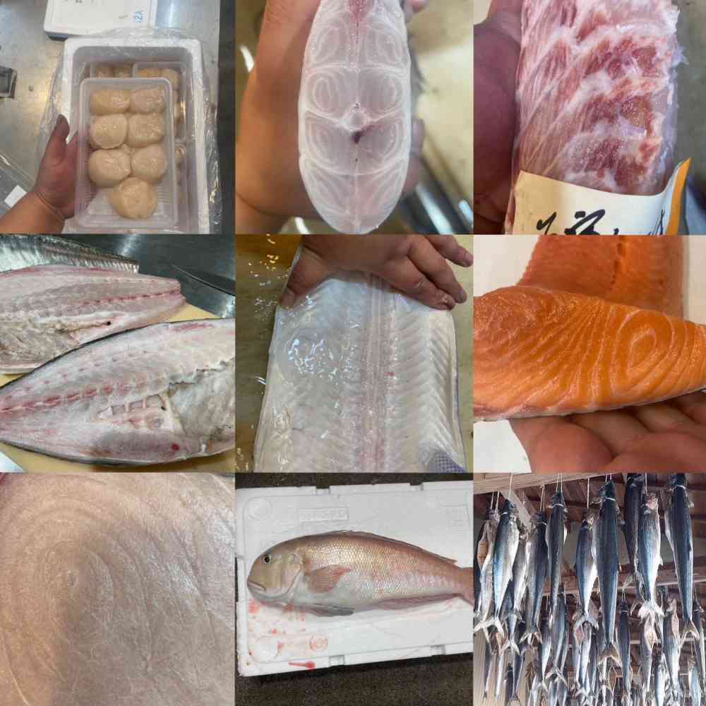 FishSale - 釣った魚を売れるオークションサイト -