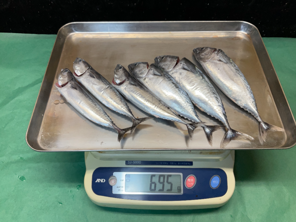 FishSale - 釣った魚を売れるオークションサイト -