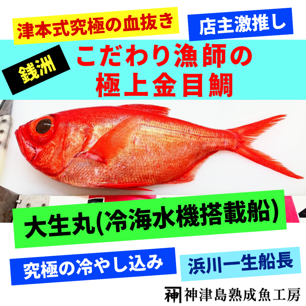石鯛釣針15号200本土佐丹吉 細長く