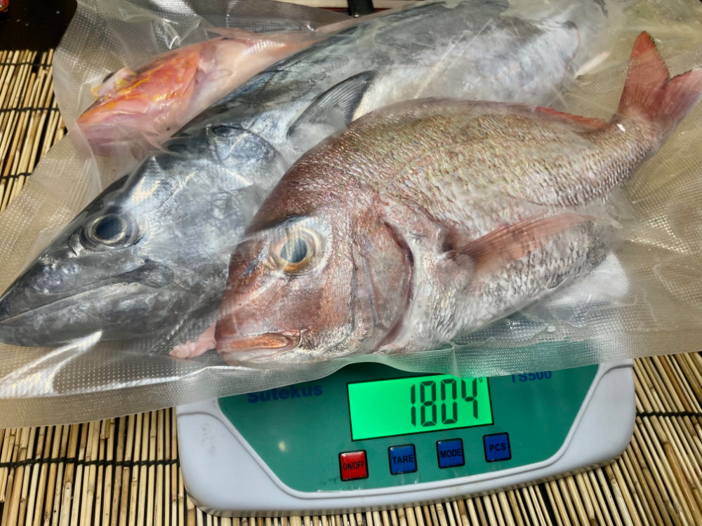 FishSale - 釣った魚を売れるオークションサイト -