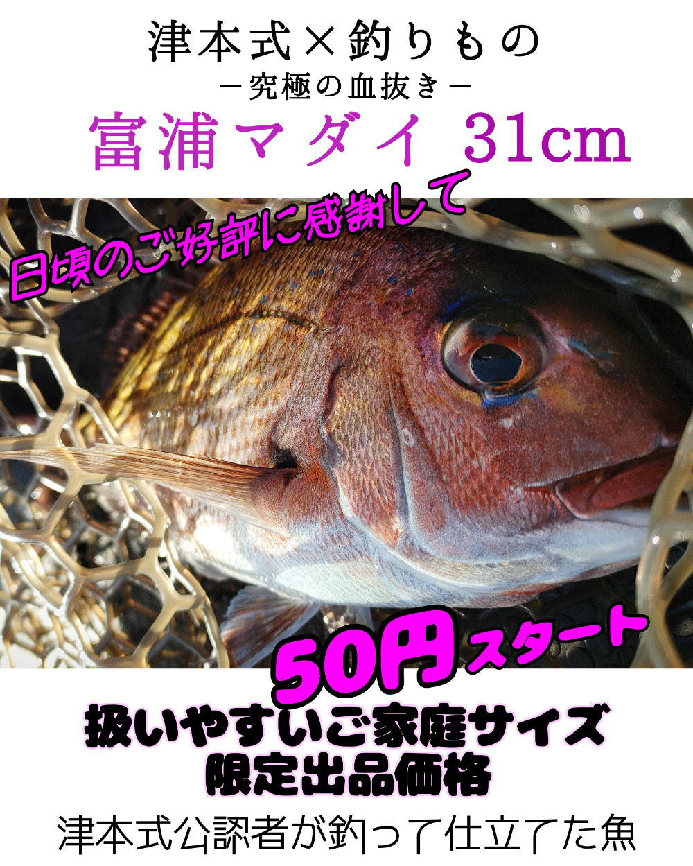 FishSale - 釣った魚を売れるオークションサイト - FishSale - 釣った魚を売れるオークションサイト -