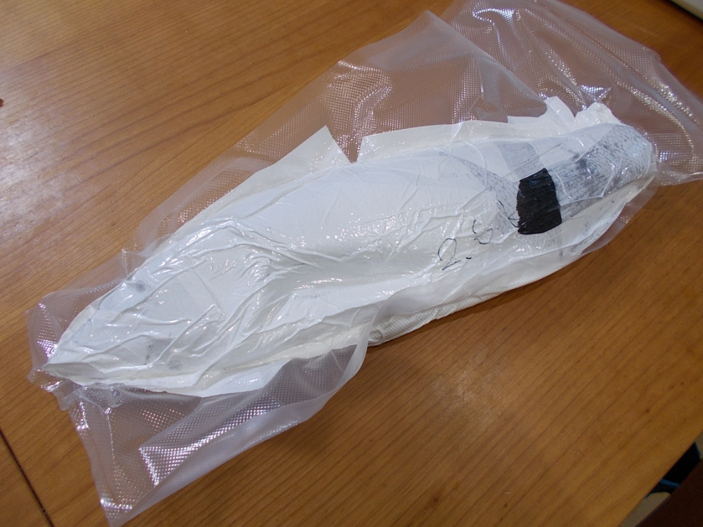 FishSale - 釣った魚を売れるオークションサイト -