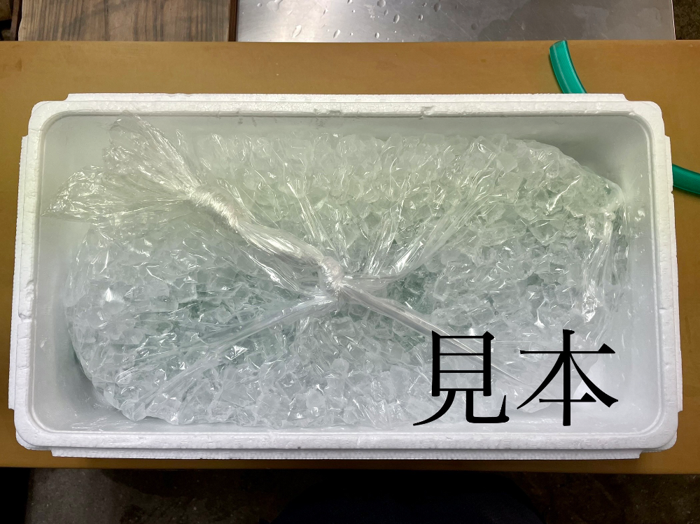 FishSale - 釣った魚を売れるオークションサイト -