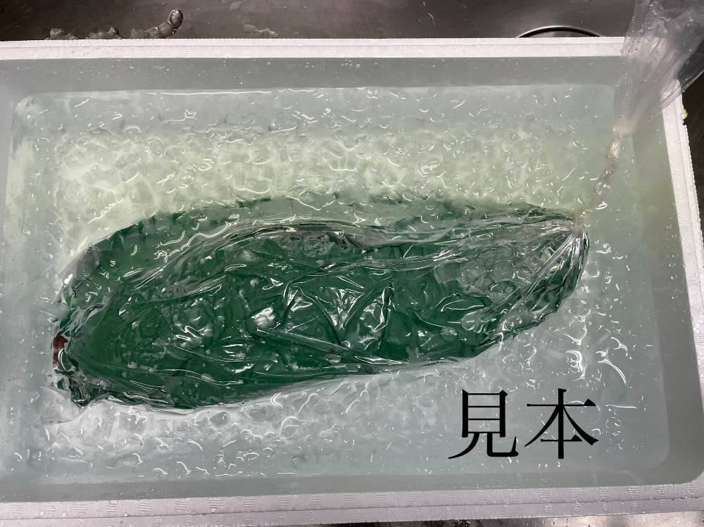 FishSale - 釣った魚を売れるオークションサイト -